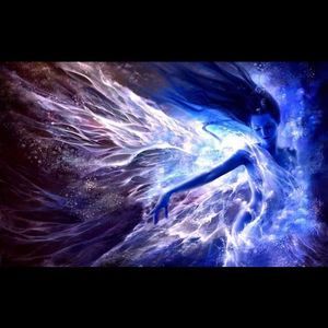 Meet your Posher, Dawn